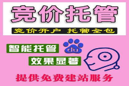 百度竞价代理的投放技巧与效果评估案例
